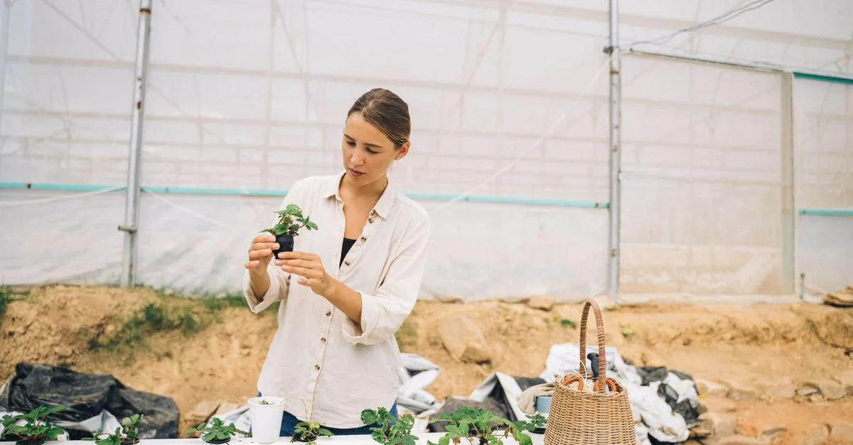 découvrez les pratiques agricoles durables qui préservent l'environnement, favorisent la biodiversité et garantissent une production alimentaire responsable pour les générations futures.