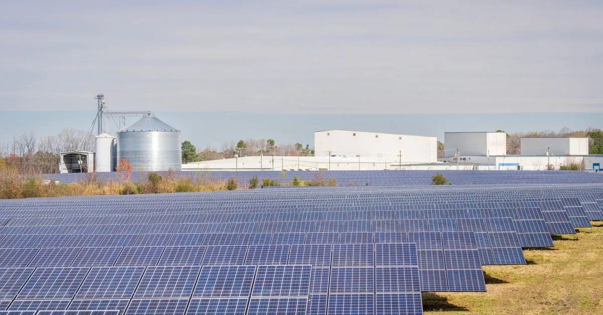 découvrez nos panneaux solaires efficaces et durables pour une énergie propre et renouvelable. réduisez vos factures d'électricité tout en protégeant l'environnement.