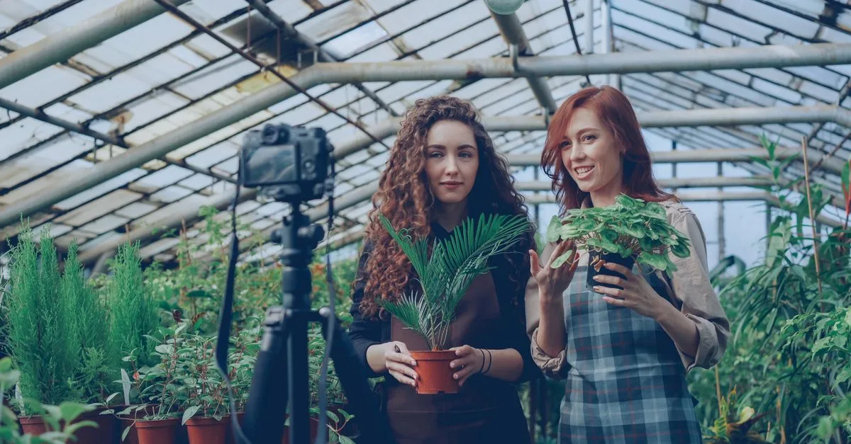 conseils essentiels pour prendre soin de vos plantes et les garder en pleine santé.