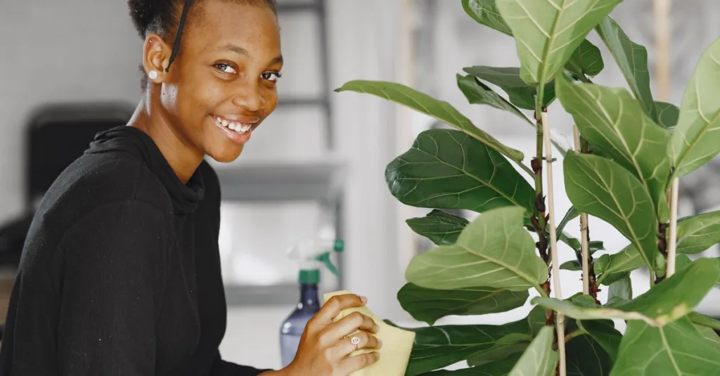conseils essentiels pour prendre soin de vos plantes et les garder en pleine santé toute l'année.